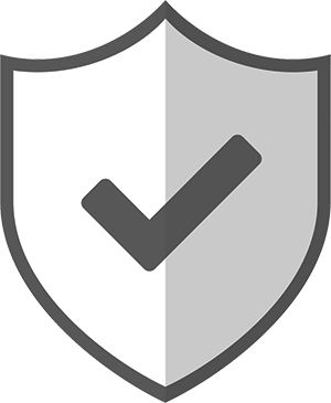 Icon with Checkmark on Shield